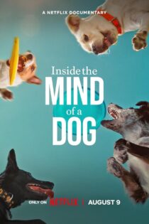 دانلود مستند درون ذهن یک سگ Inside the Mind of a Dog 2024