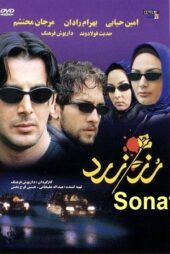 دانلود فیلم ایرانی رز زرد The Yellow Rose 2003 (رایگان)